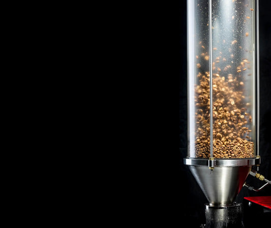 Coffee beans turning brown as they float in the clear chamber of a Kribi air roaster