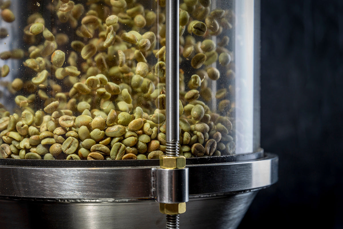 Coffee beans in the chamber of our air roaster